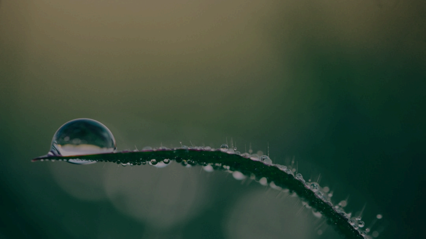 Why QuizShot's AI Surpasses Conventional Study Tools