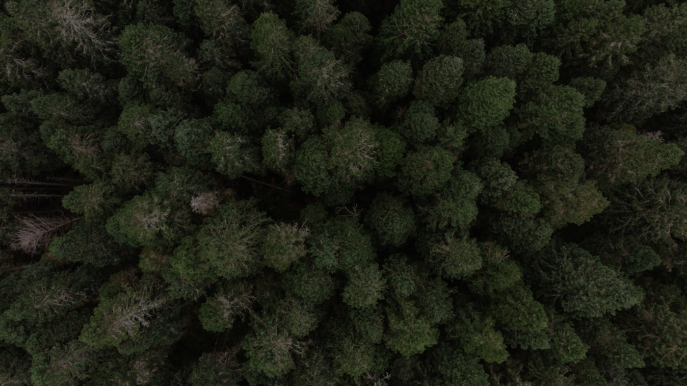 QuizShot Compatibility - Canvas, Blackboard & Moodle